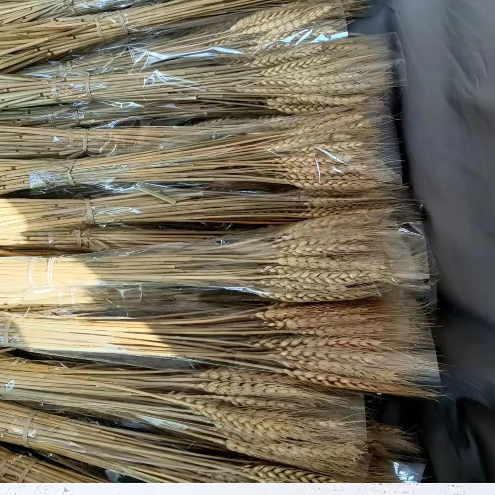 Dried Flower Bulk - 50 Peças de Flores Artificiais, Caules