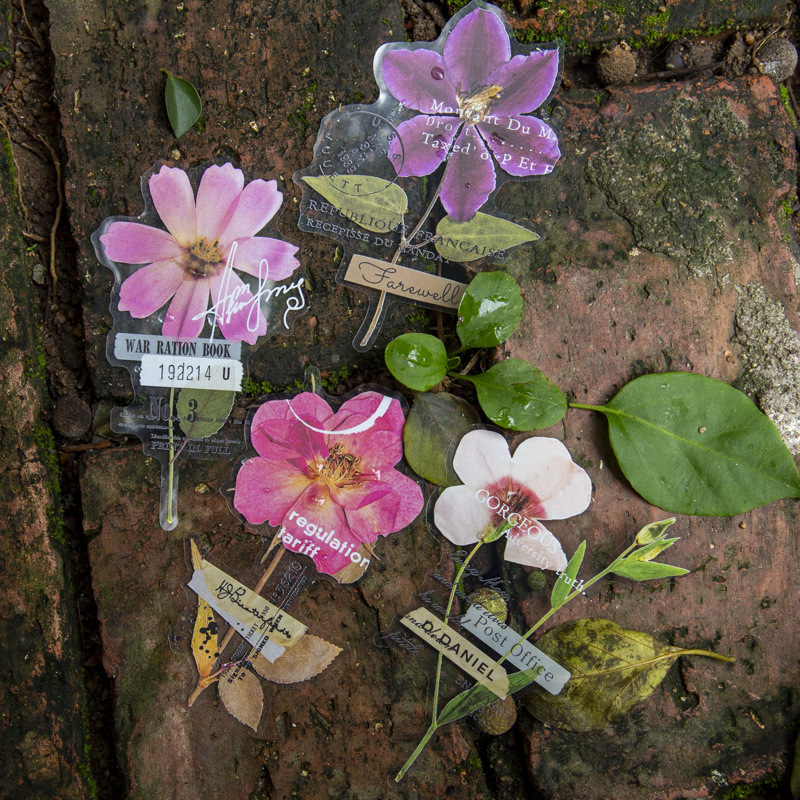 Dried Flower Bulk - Pacote com 10 Adesivos da Série