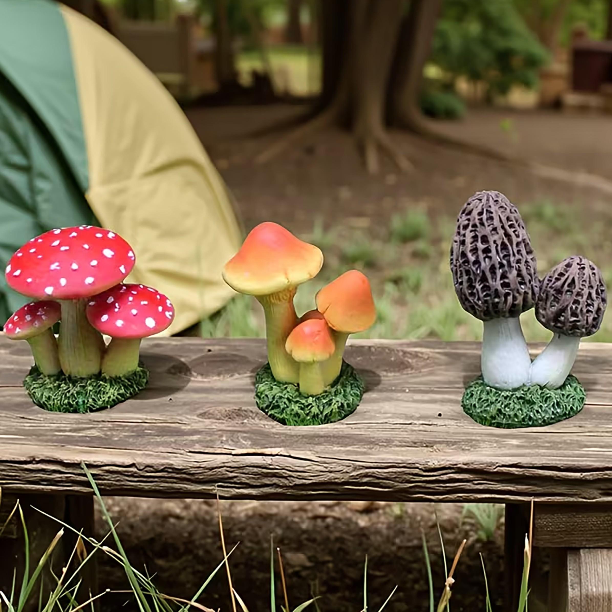 Terrarium Moss Art - 1 Conjunto de 3 Peças de