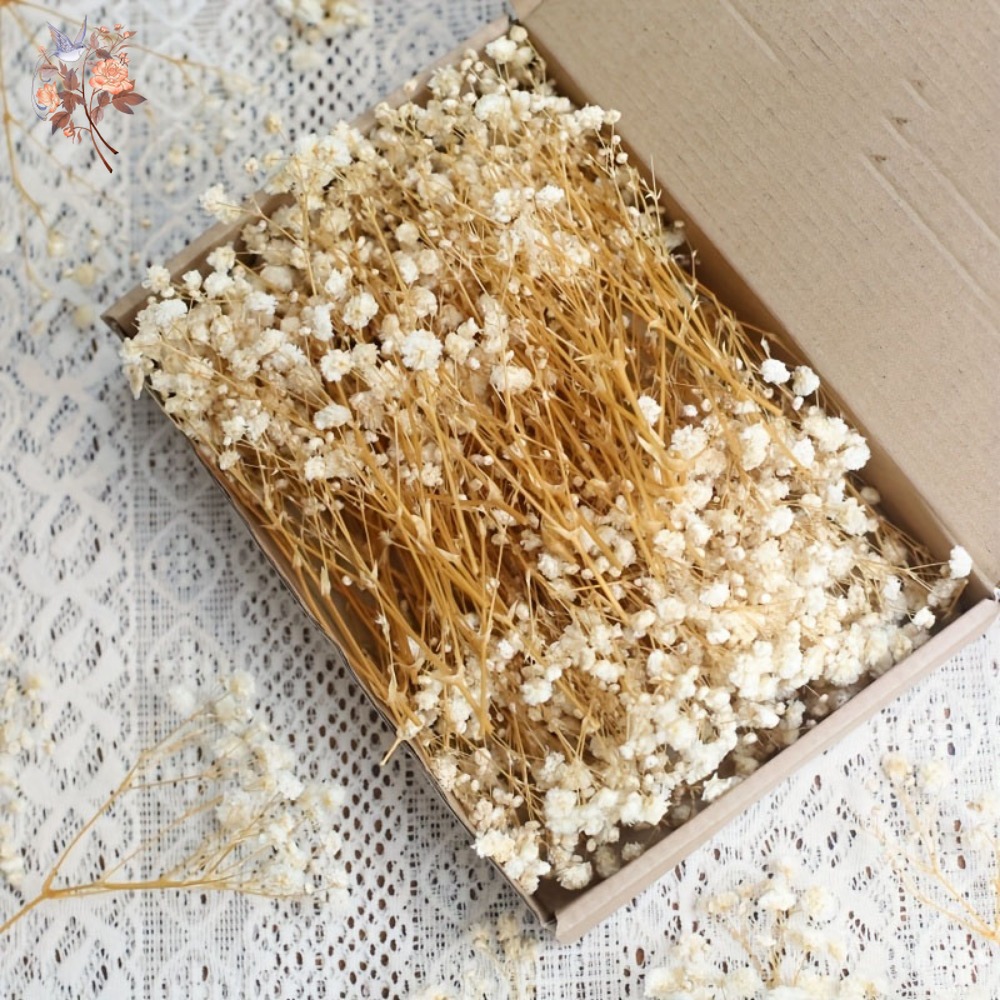 Resin Craft Ideas - 100 Peças de Flores Secas Mini