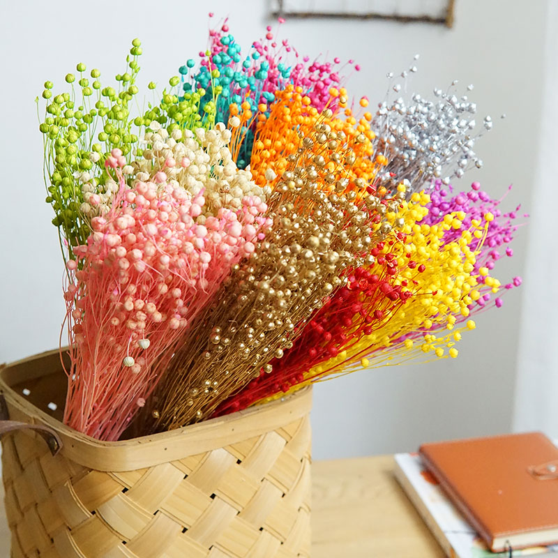 35g/preservado ormosia hosiei  - Dried Flower Bulk avaliação e preço