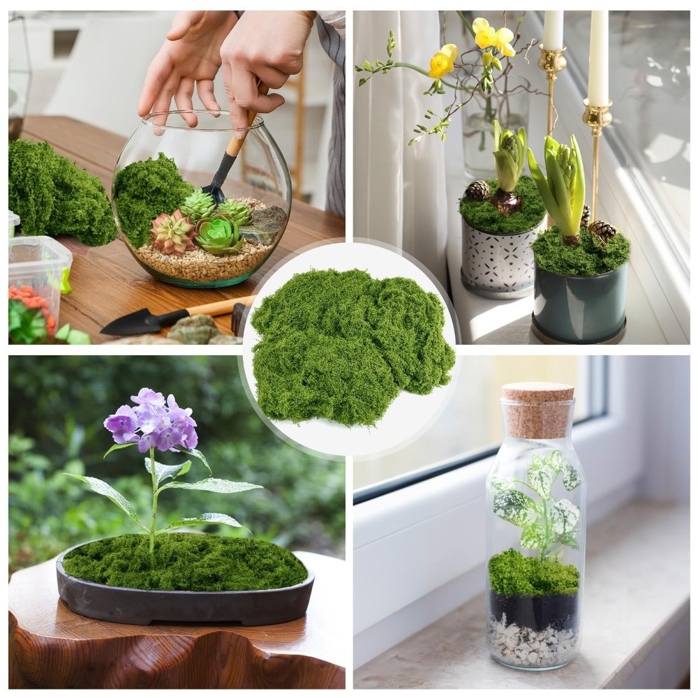 Musgo Artificial de Poliéster  - Terrarium Moss Art avaliação e preço